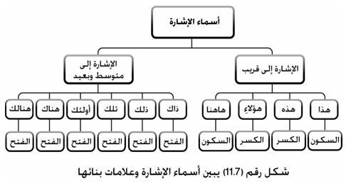 اعراب اسماء الاشارة - تعرف على انواع اسماء الاشارة وعددها وطريقة اعرابها 3718 6