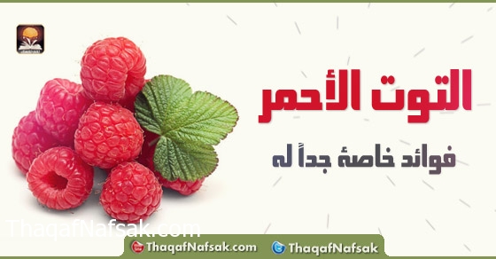 فوائد التوت الاحمر , معلومات طبيه عن التوت