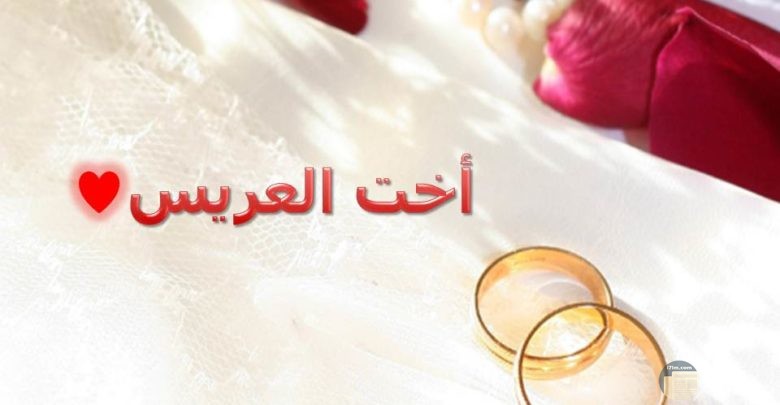 صور انا اخت العروسه - فرحتى من فرحة العروسة 2705 8