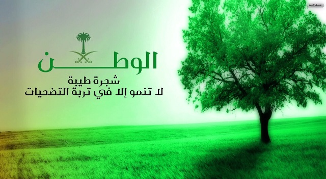 شعر عن حب الوطن - الغربة داخل الوطن 2855 6