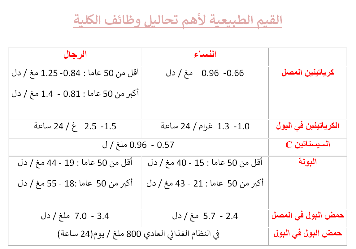 نسبة وظائف الكلى الطبيعيه