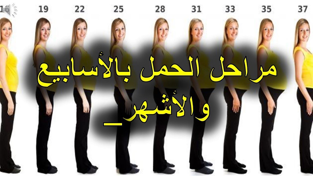 تهم كل الحوامل , مراحل الحمل بالاشهر