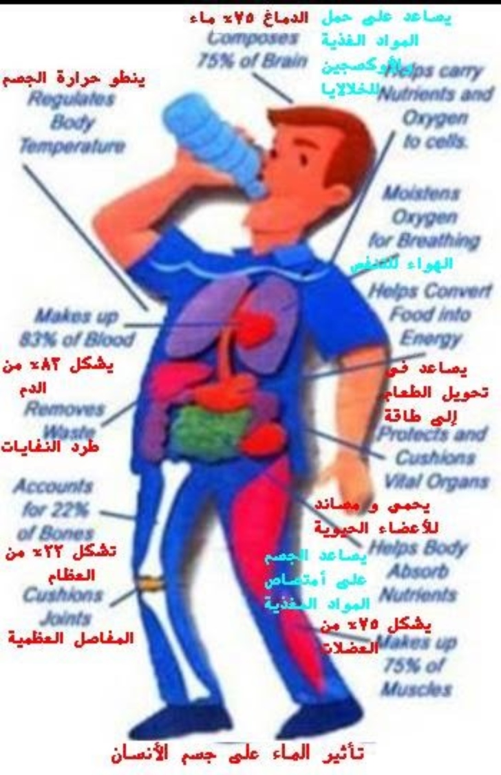 فوائد شرب الماء صباحا - شرب المياه كل صباح مفيدة جدا 3492