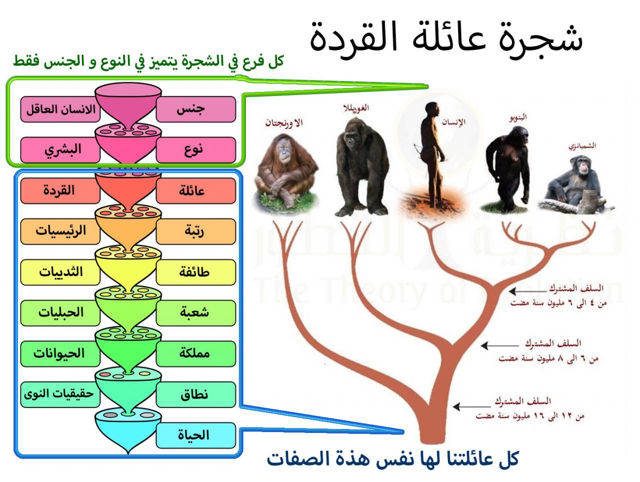 صاحب نظرية التطور - اغرب نظرية علي الاطلاق 1800 1