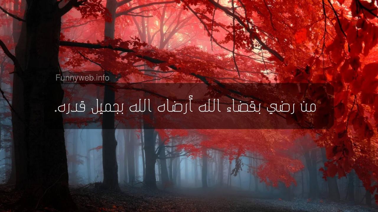 صور حالات واتس- صور لحالات الواتساب- 9603 3