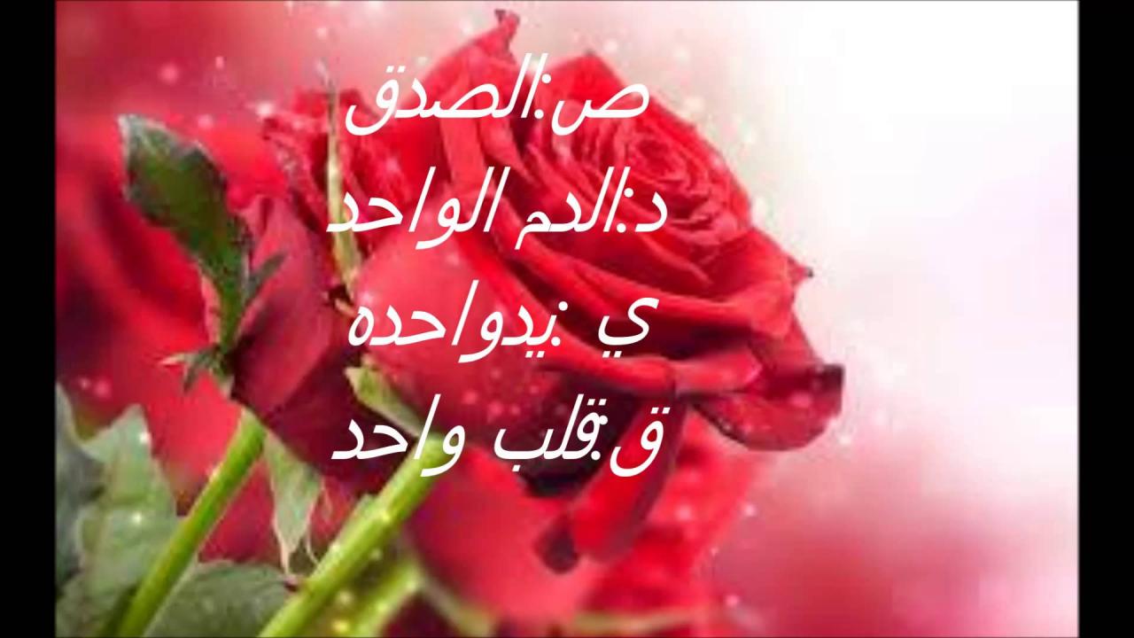 احلى ورد واحلى كلام روعة، صور ورد مع عبارات 6435 12