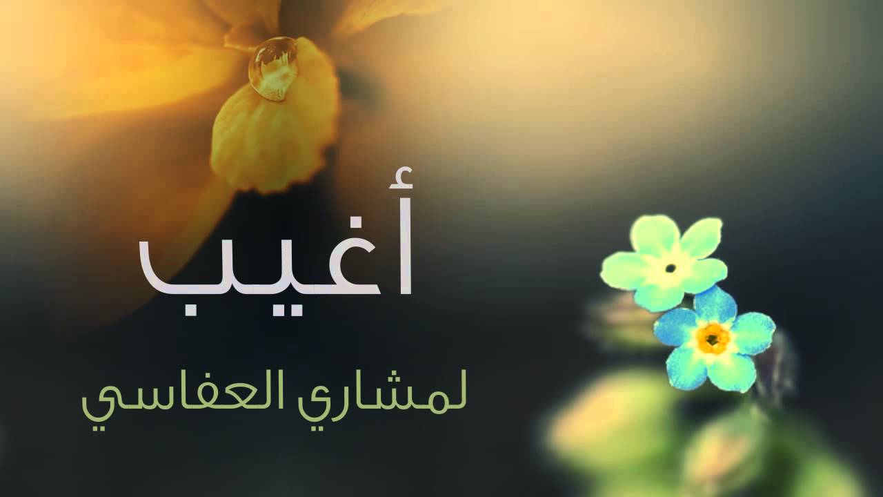 كلمات اغنية اغيب اغيب- أغنية أغيب أغيب- 9624