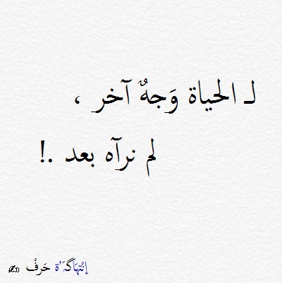 مقتطفات من روايات - اجمل روايات قراتها 2399 6