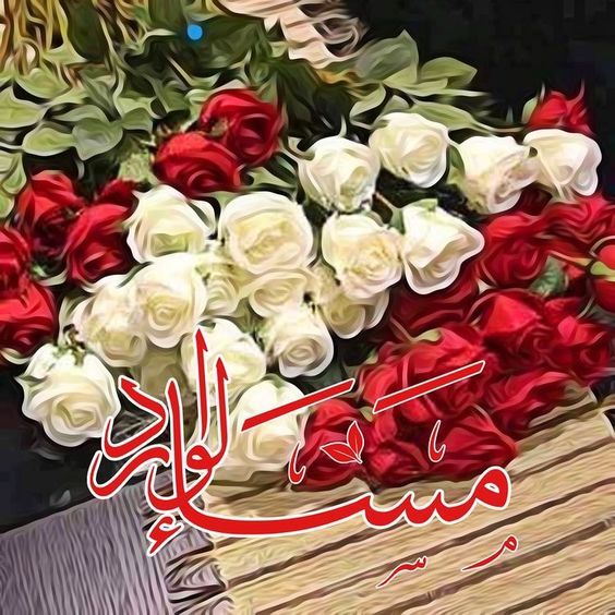 مساء الخير والورد 784 3