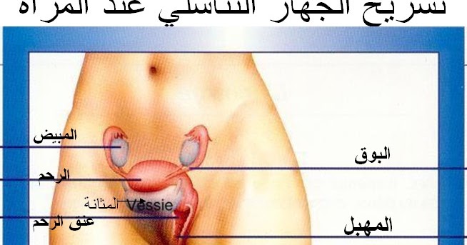 اسباب نزول الدم من المهبل للعذراء - اسرار نزول الدم من المهبل 319 1