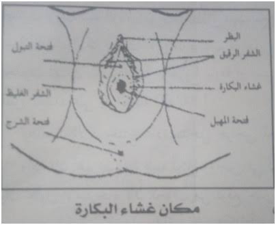 حجم فتحة المهبل قبل الزواج , معلومه مهمه لا تعرفيها