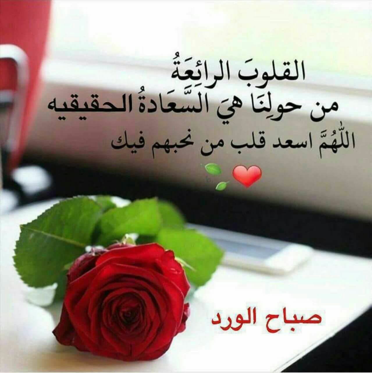 صور احلي صباح الخير - صبح علي حبايبك 3024 2