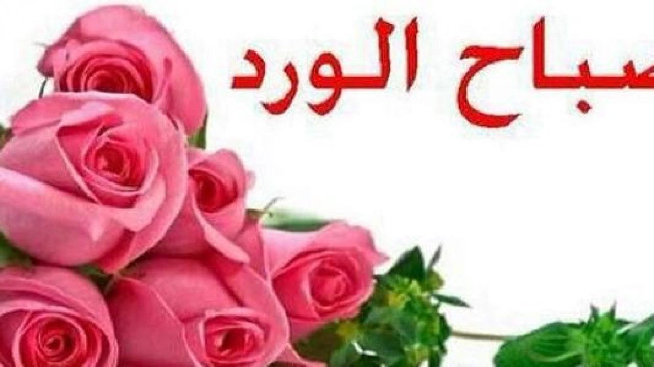 صور من صباح الخير - صباكم نور وورد وزهور 1124 13