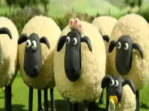 صور خروف كرتوني - اشهر خروف كارتوني Shoun The Sheep 2374 7