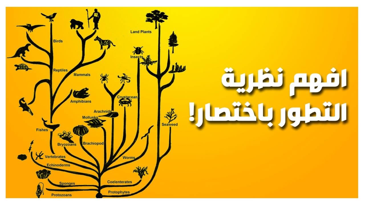 صاحب نظرية التطور - اغرب نظرية علي الاطلاق 1800