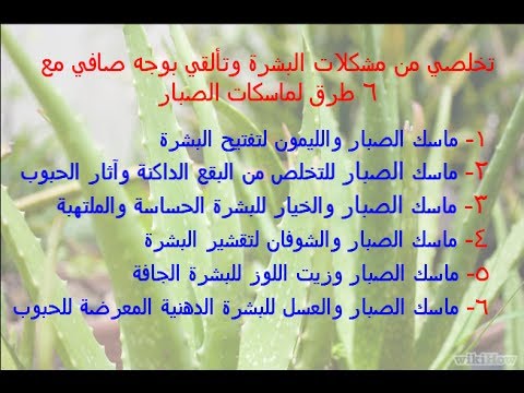 فوائد الصبار للشعر والبشرة - الصبار الطبيعي وكيفيه استخدامه 2510 1