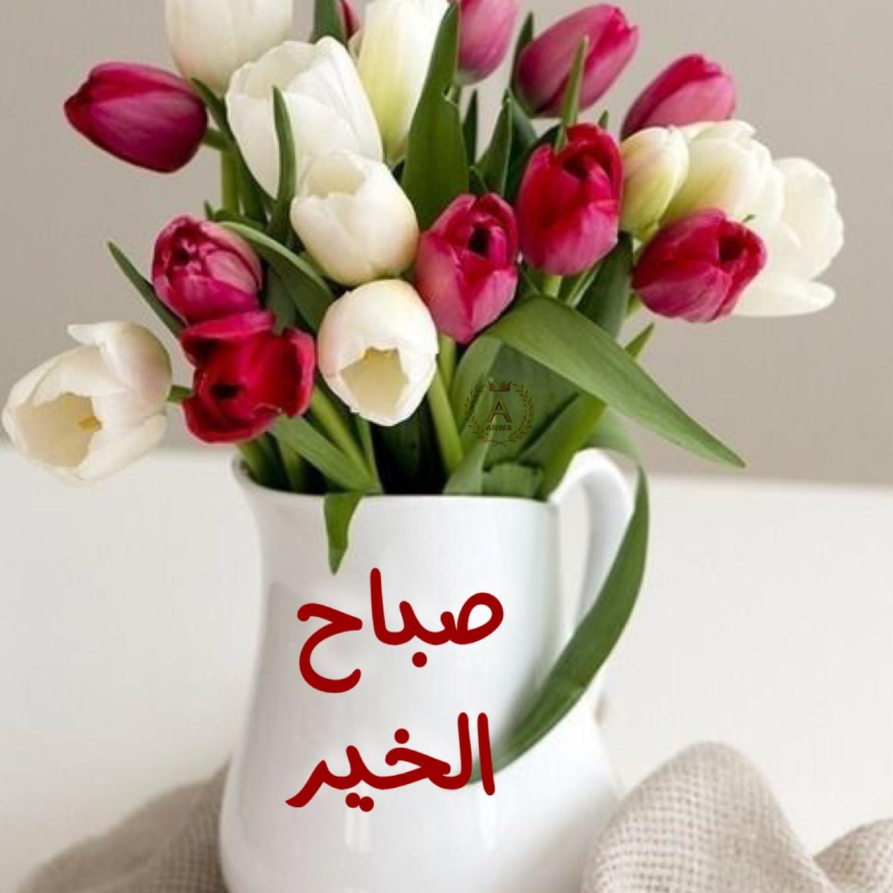 صور احلي صباح الخير - صبح علي حبايبك 3024 3