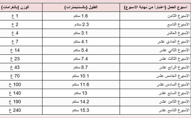 الاسبوع الحادي عشر من الحمل يعني اي شهر 1812