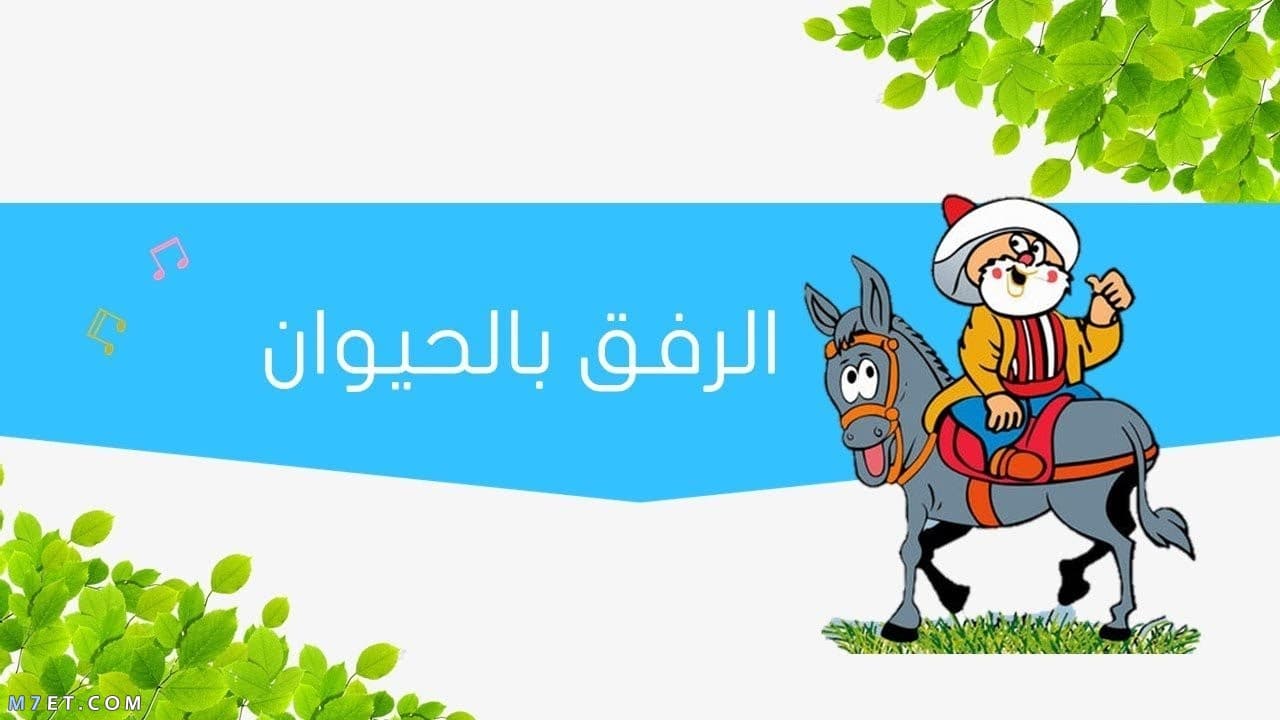 عبارات عن الرفق بالحيوان، اجمل ماقيل عن الرفق بالحيوان 9486 1