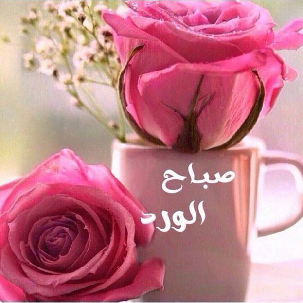 صور من صباح الخير - صباكم نور وورد وزهور 1124 3