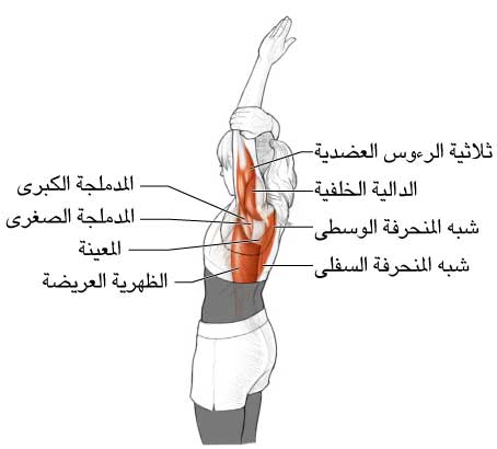 من اصعب التمارين - تمارين خلع الكتف 6416 8