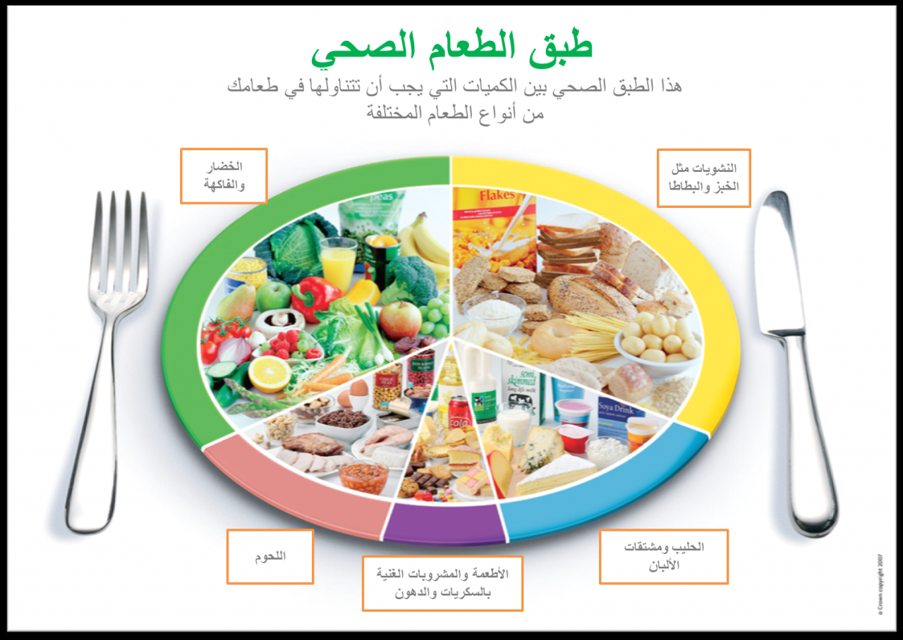 مقدمة عن الغذاء - هقلك على طريقه تقديم الطعام تحفة 3386