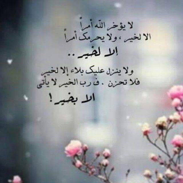 صور عبارات رائعة