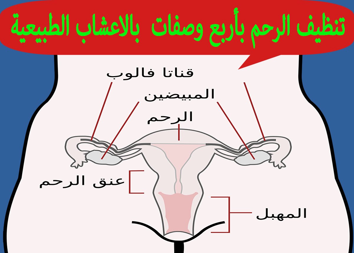 تنظيف الرحم من الدورة - مشروب هائل لتنظيف الرحم 3970 1