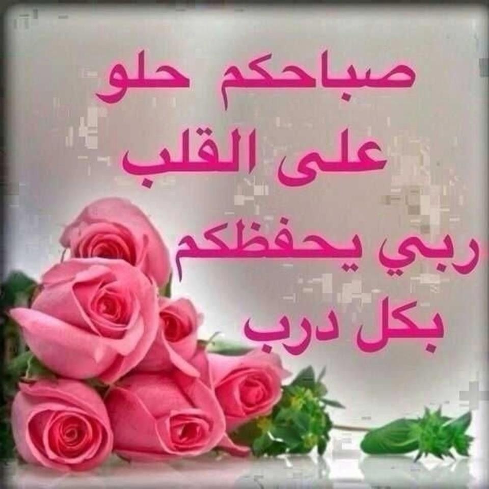 صور احلي صباح الخير - صبح علي حبايبك 3024 4