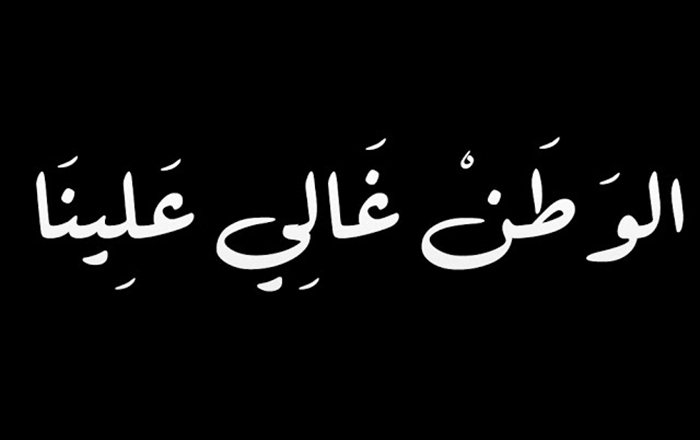 خاطرة في حب الوطن - كلمات عن الاوطان 2305 11