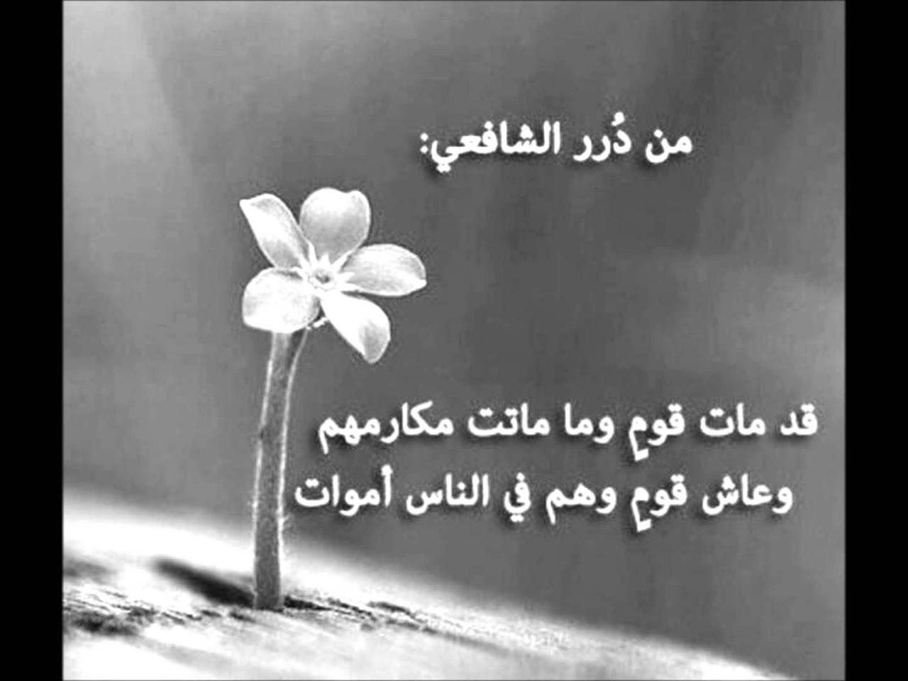 شعر راقي قصير ، عن الوحدة والفراق نتحدث 6340 7