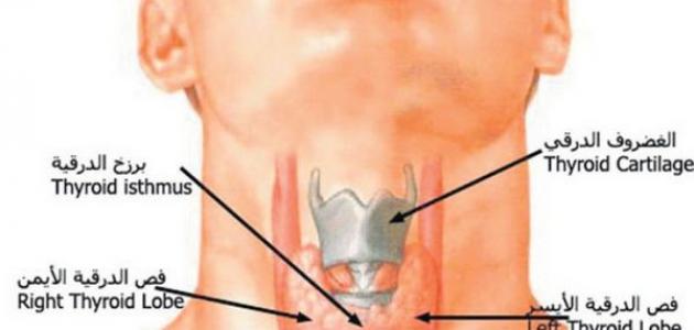 اعراض نقص الغدة الدرقية , قله نشاط الغده الدرقيه